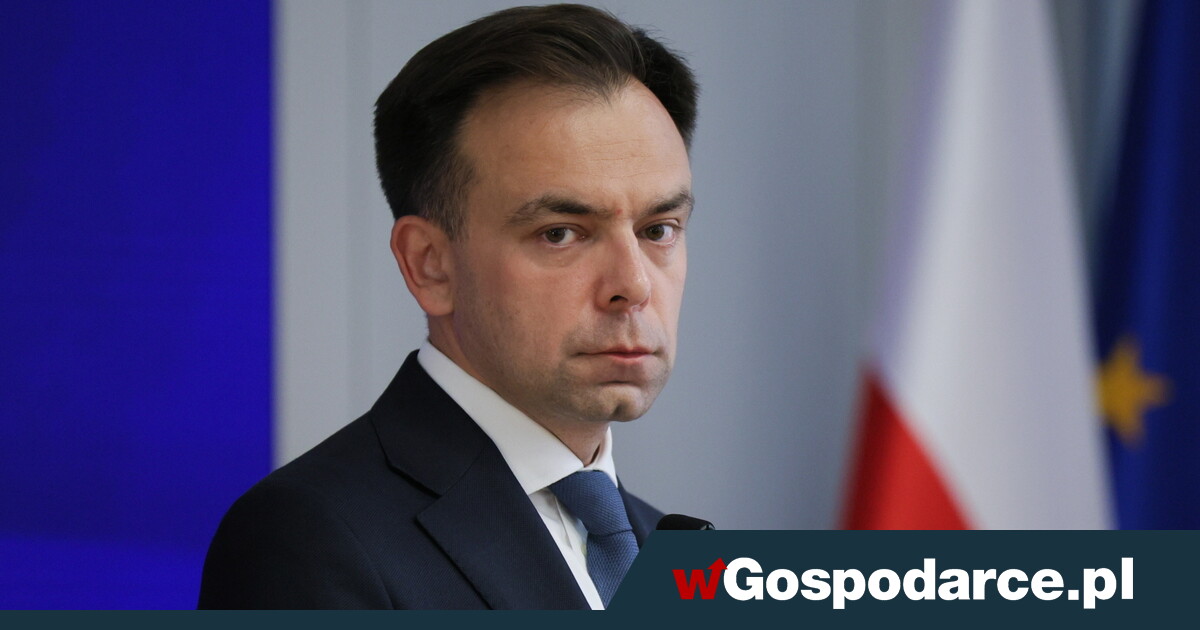Domański musi pożyczyć ponad pół biliona złotych - wGospodarce.pl