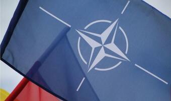 NATO najbardziej doceniają Polacy