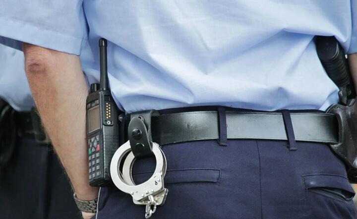 Policja / autor: Pixabay.com