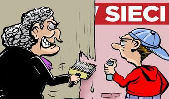 Polska v Sieci układów
