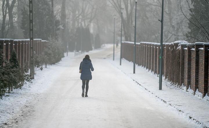 Śnieg / autor: fot. Fratria