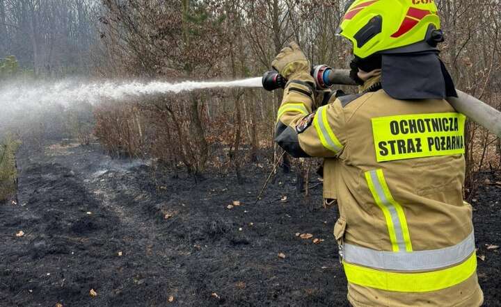 Strażacy ochotnicy w akcji. / autor: OSP Opalenica