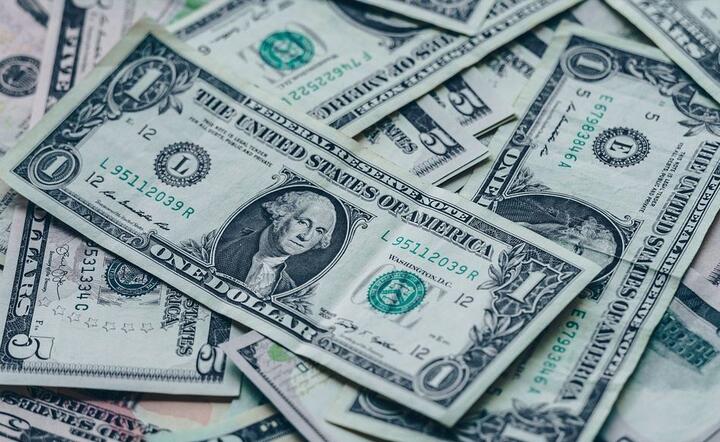 Dolar / autor: Pixabay