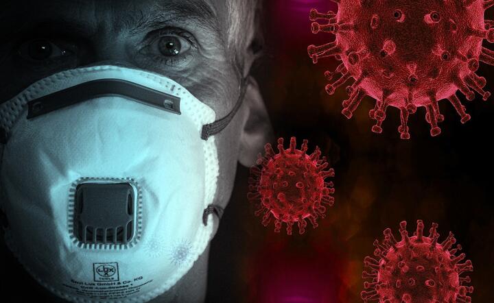 Włoski ekspert twierdzi, że jeśli dojdzie do drugiej fali epidemii, to nie będzie ona już tak silna / autor: Pixabay