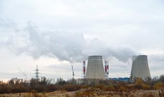 Polska energetyka przeciwna wykluczeniu z mechanizmów wsparcia