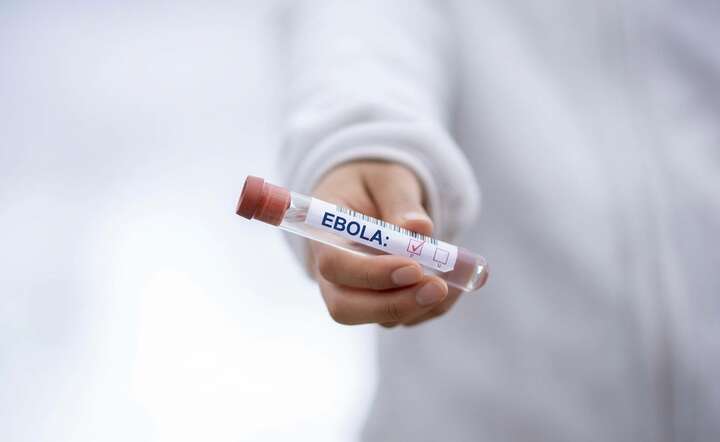 Śmiertelny wirus Ebola. Szczep Bundibugyo budzi niepokój / autor: Pixabay/Gemini