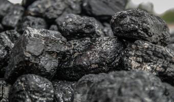 ARP: 881,9 mln zł zysku netto górnictwa węgla kamiennego