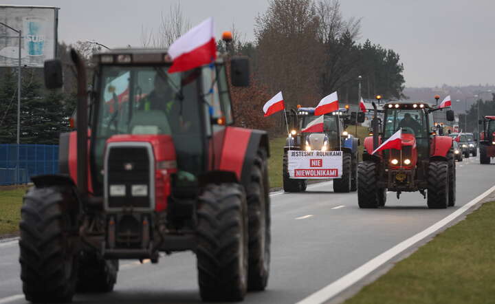 KATOWICE PROTEST ROLNIKÓW / autor: PAP/Michał Meissner