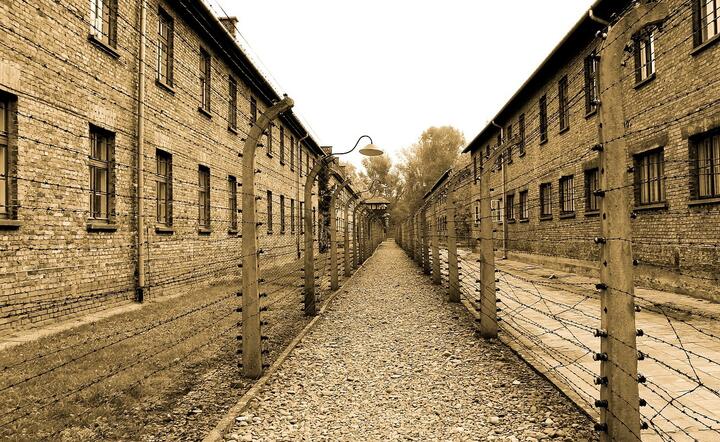 Auschwitz / autor: Pixabay