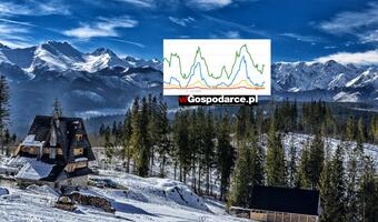 W tym roku ferie odpuszczamy? Zaskakujące dane Google