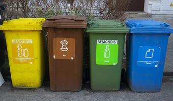 Te bakterie "zjedzą" plastik: W co go zamienią?