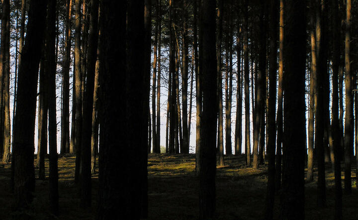 autor: www.sxc.hu