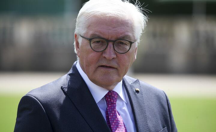 Prezydent Steinmeier pogratulował polskim władzom skutecznej strategii ws. ograniczenia epidemii / autor: Pixabay