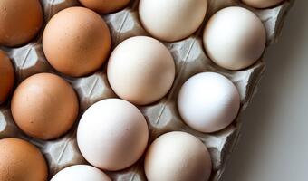 Fipronil powrócił. Niemcy wycofują jaja ze sklepów