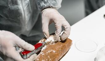 Hiszpańska policja przejęła prawie 5,5 tony kokainy z Ameryki Południowej