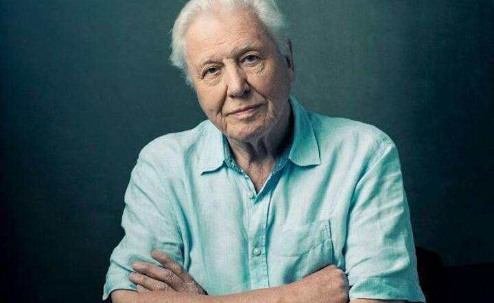 David Attenborough  / autor: Mat. pras.