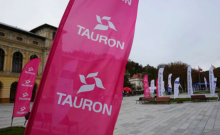 Tauron / autor: Fratria