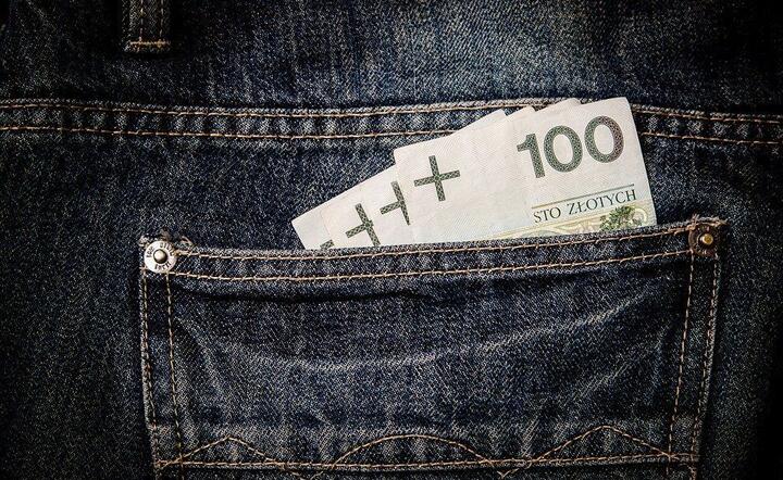 fot. Pixabay / autor: fot. Pixabay
