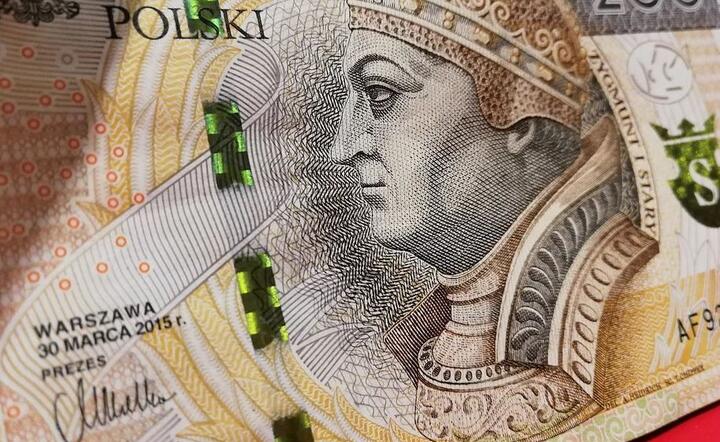 Złoty / autor: Pixabay 