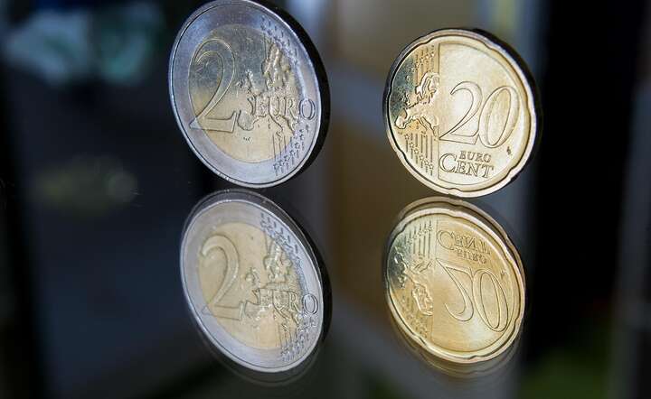 Obniżka o 25 punktów bazowych jest już w cenie euro / autor: Pixabay