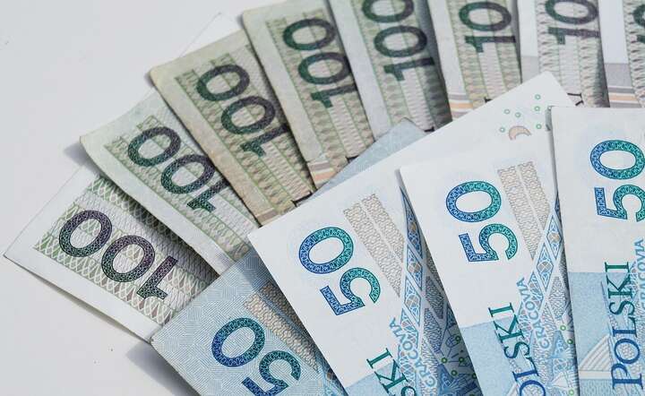 Przez mniejsze obniżki stóp procentowych złoty da lepiej zarobić / autor: Pixabay