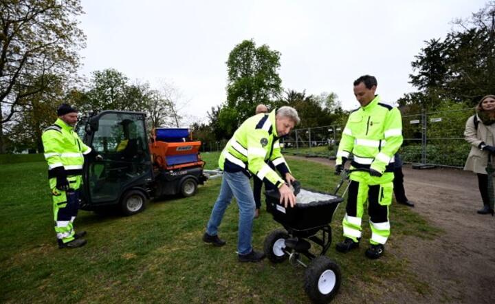 Pracownicy ogrodów  w Stadsparken w Lund, Szwecja, chcą uniemożliwić mieszkańcom gromadzenia się tam na tradycyjne uroczystości z okazji Nocy Walpurgii  / autor: PAP/EPA/Johan Nilsson