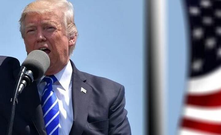 O dalszej prezydenturzez Donalda Trumpa zadecyduje Senat USA / autor: Pixabay