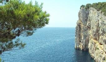 Chorwacja zamyka granicę z Serbią
