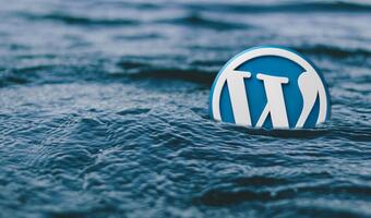 WordPress po raz kolejny zaatakowany przez hakerów