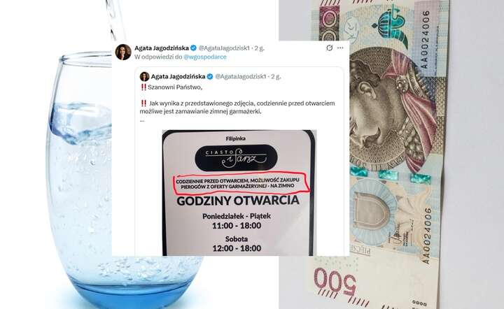 Komentarz do opisywanej przez nas sytuacji nadesłała Agata Jagodzińska, związkowiec z KAS / autor: Pixabay / Fratria / X @AgataJagodzin1 - screen