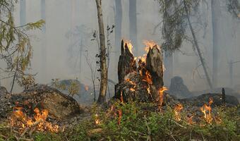 Z powodu upałów na Syberii szaleją pożary