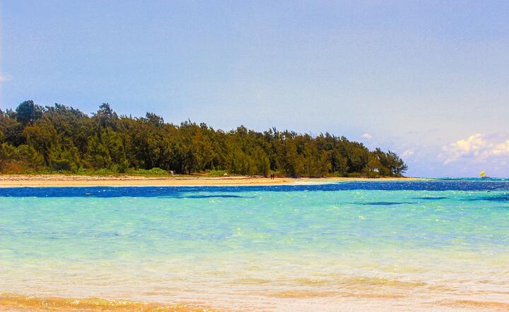 Mauritius / autor: Pixabay