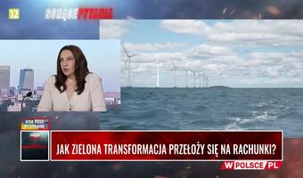 PZU: Zielona transformacja tylko przyspieszy