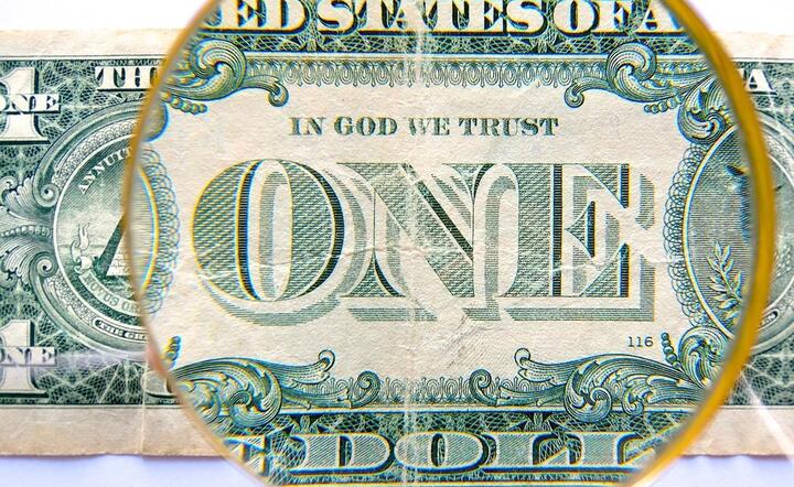 Aktualny schemat dla rynków finansowych to przerzucanie kapitału z USD w stronę innych walut i aktywów / autor: Pixabay