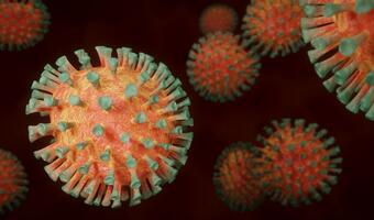 Raport wywiadów: Chiny ukrywały prawdę o epidemii