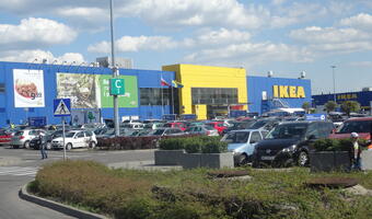 Problemy IKEI. Część drewna w produktach było nielegalnych