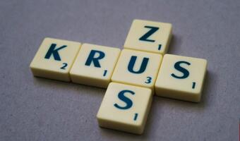 Szereg poprawek do małego ZUS. Projekt wraca do komisji