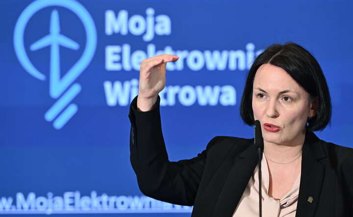 Prezes Narodowego Funduszu Ochrony Środowiska i Gospodarki Wodnej (NFOŚiGW) Dorota Zawadzka-Stępniak / autor: PAP/Radek Pietruszka