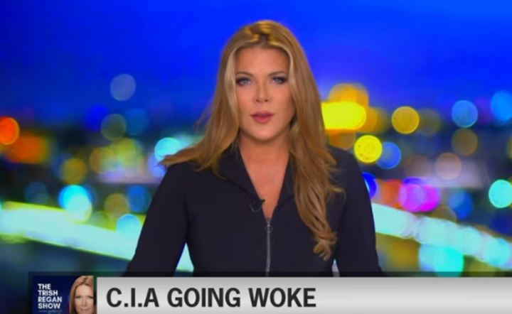Trish Regan / autor: youtube.com
