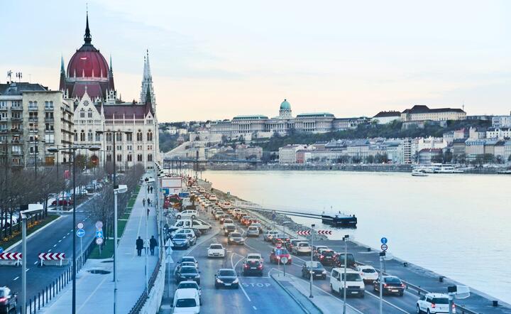 Zdjęcie ilustracyjne / autor: Pexels.com