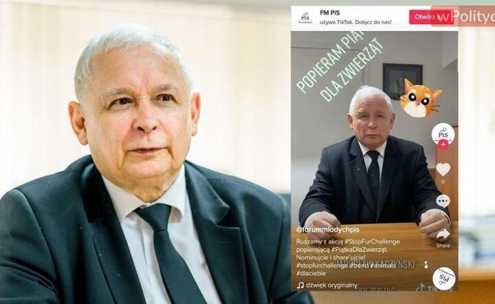 Jarosław Kaczyński / autor: Fratria