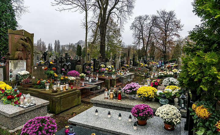 Biznes: usługa porządkowania grobu kosztuje od 90 do 300 zł