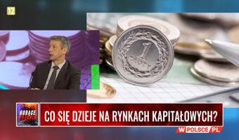 Ekspert: Politykę RPP można oceniać pozytywnie VIDEO