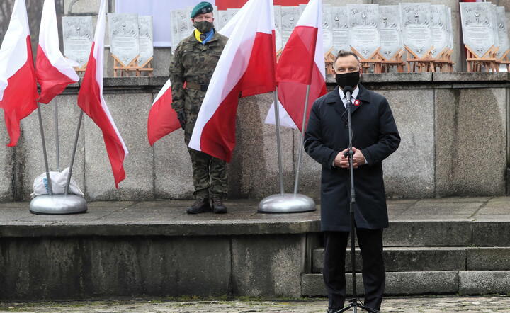 Prezydent Andrzej Duda podczas przemówienia przy pomniku Czynu Powstańczego na Górze św. Anny w zw. z setną rocznicą wybuchu III Powstania Śląskiego / autor: fotoserwis PAP