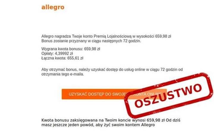 Scam Allegro / autor: mat. prasowe