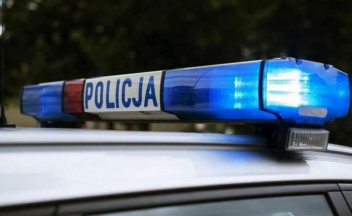 Policja / autor: Pixabay
