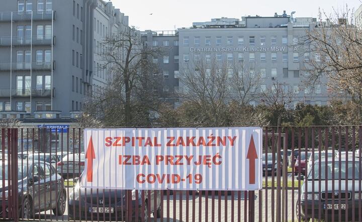 Zdjęcie ilustracyjne / autor: Fratria