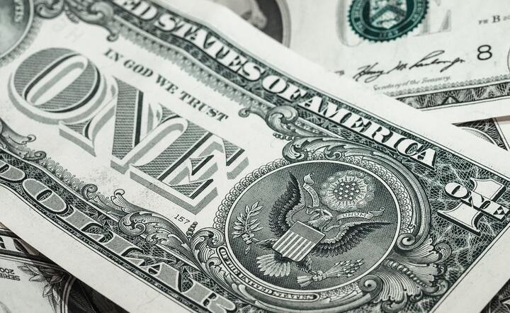 Dolar / autor: Pixabay