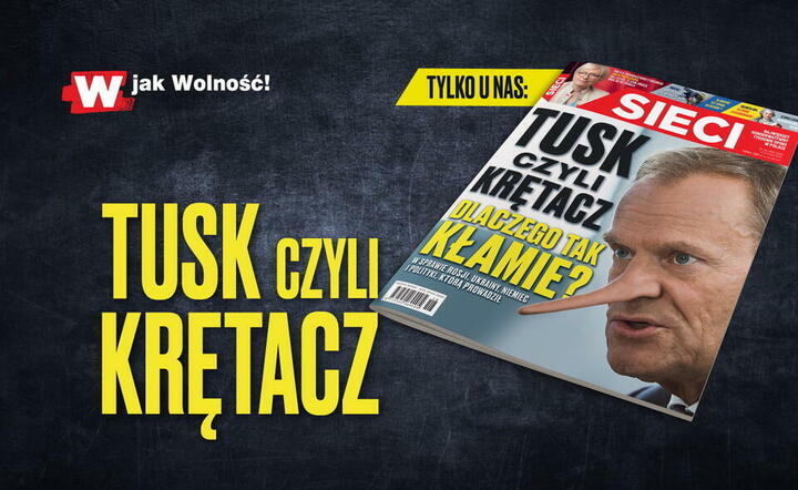 Sieci - okładka / autor: Fratria