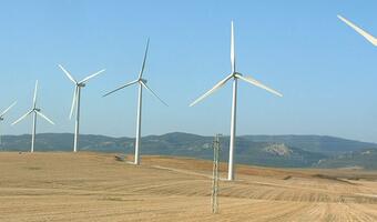 Zielona energia szkodzi tradycyjnej. Koncerny energetyczne odnotowują coraz gorsze wyniki finansowe
